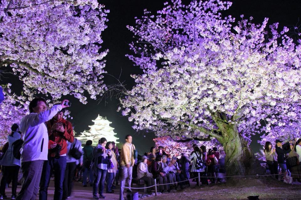 Novelbright LIVE TOUR 2024 〜CIRCUS〜 FINAL IN 姫路城三の丸広場姫路大手前公園イベント情報