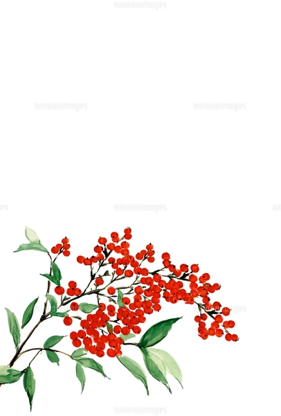 使える素材集 寒中見舞い無料テンプレート