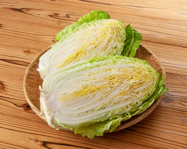 春の到来告げる祭り−インドで行われた「ホーリー祭」その他 ニュース日刊工業新聞 電子版