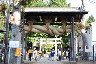 赤城神社大しめ縄行事・大祭 10月– ときめき流山さんぽ流山市観光協会 公式