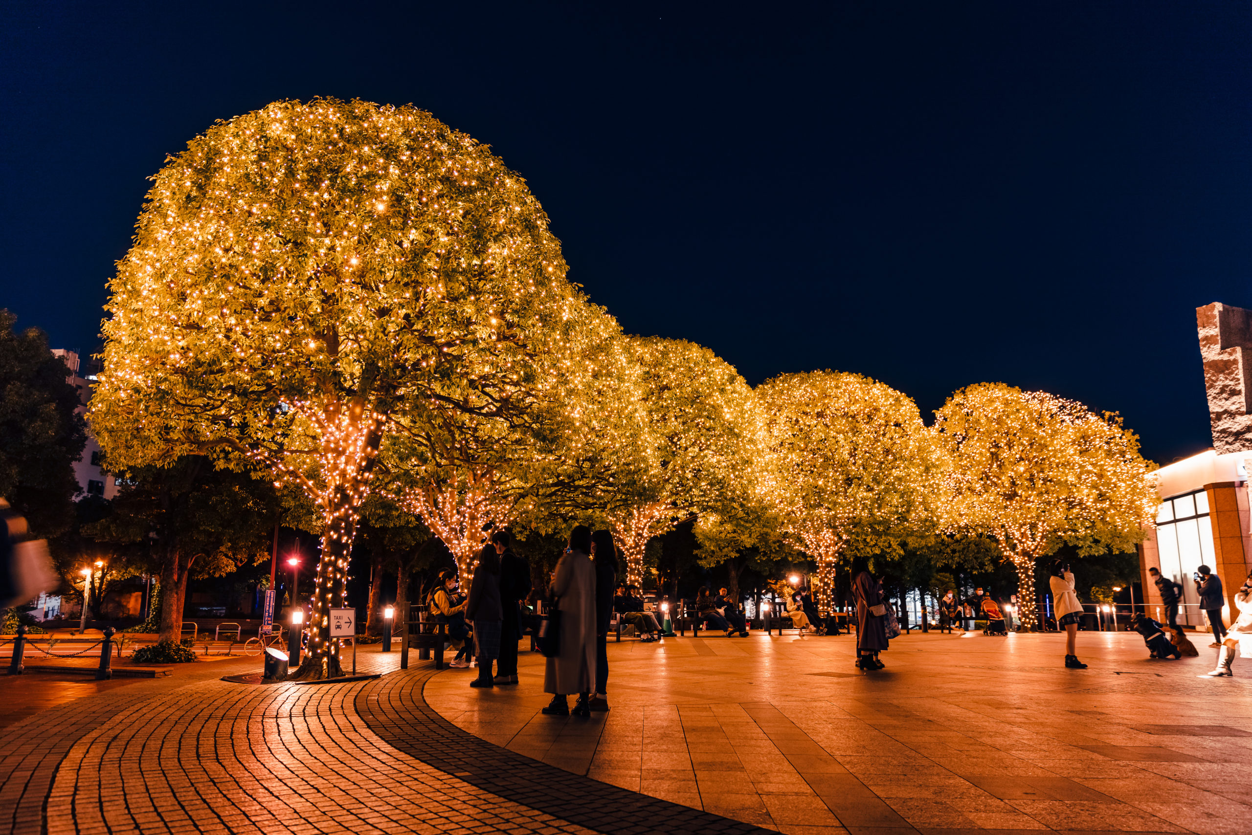 恵比寿ガーデンプレイスを青く彩る光の運河が、輝きを増して登場！クリスマスイルミネーション『コロプラキャナルウォーク』を開催～様々な色に移り変わるトライアングルLEDパネルを新たに導入！～ニュース株式会社コロプラ