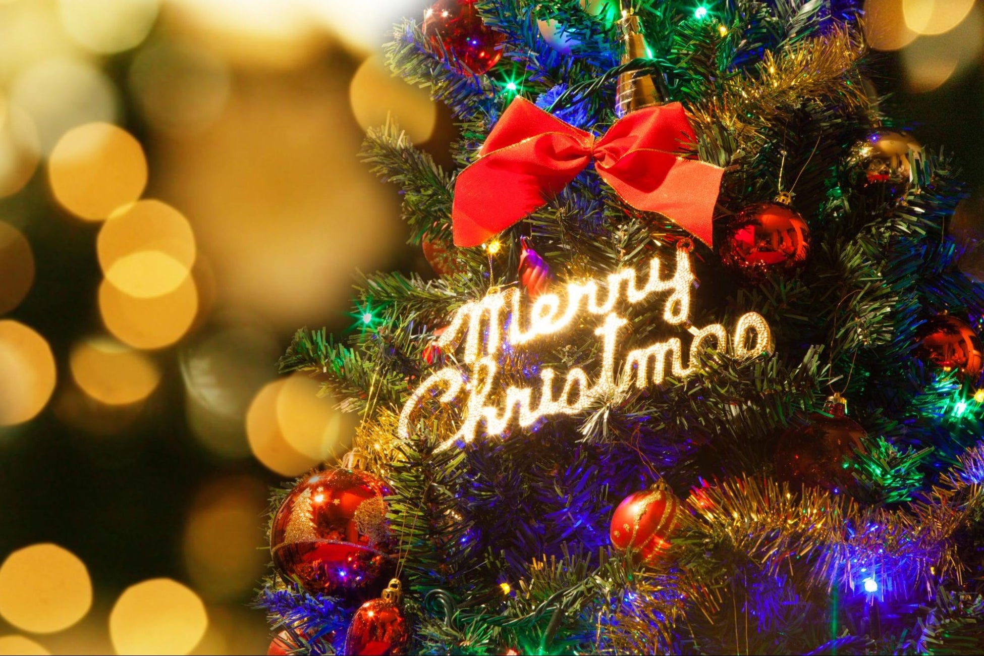 クリぼっち」でも大丈夫な理由10選経験者の割合＆回避策、おすすめの過ごし方も - CanCam.jp キャンキャン