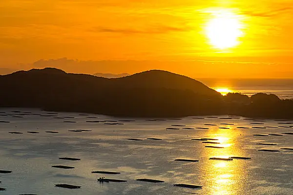 関西で人気の初日の出スポット14選！2025年を華々しく迎えようウォーカープラス