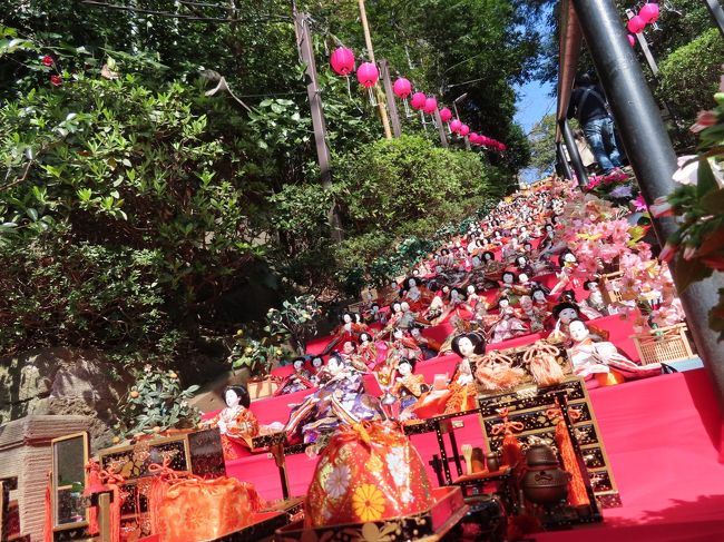 ２８段ひな飾り３５０体 社殿への階段彩る話題カナロコ by 神奈川新聞