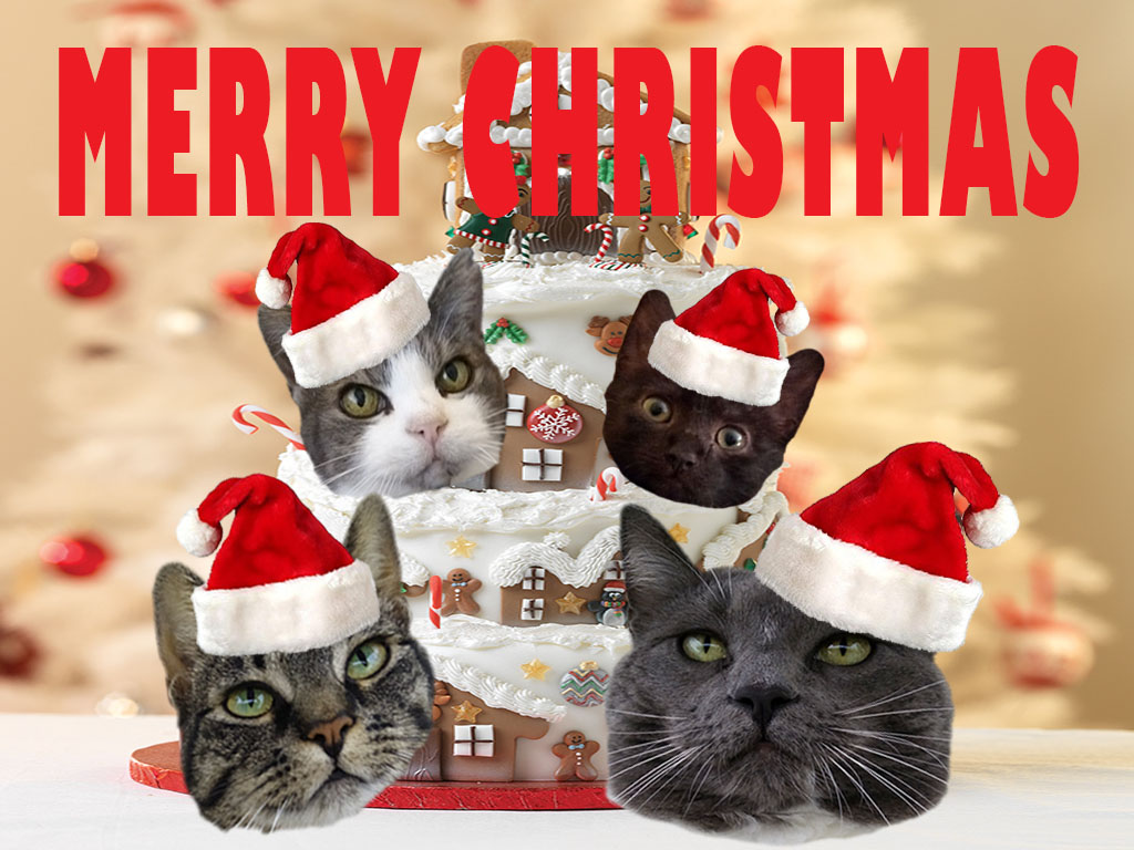 メリー クリスマス筆記体手文字。のイラスト素材・ベクター Image 47219325