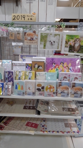 100均ダイソーの「はがき・ポストカードケース 収納 」を全部買ってみます 7種類rooms19