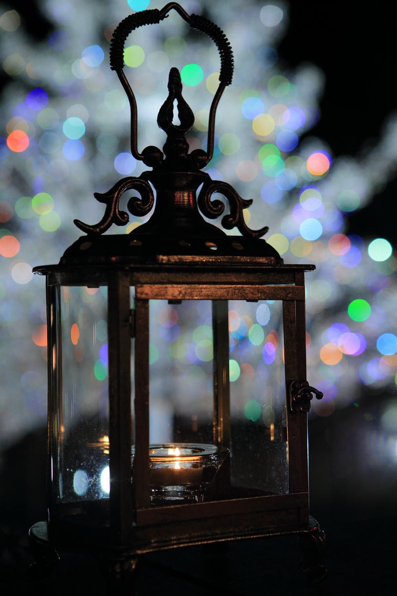 箱根強羅公園が３年ぶりにクリスマスムード一色に染まります♪株式会社小田急箱根のプレスリリース