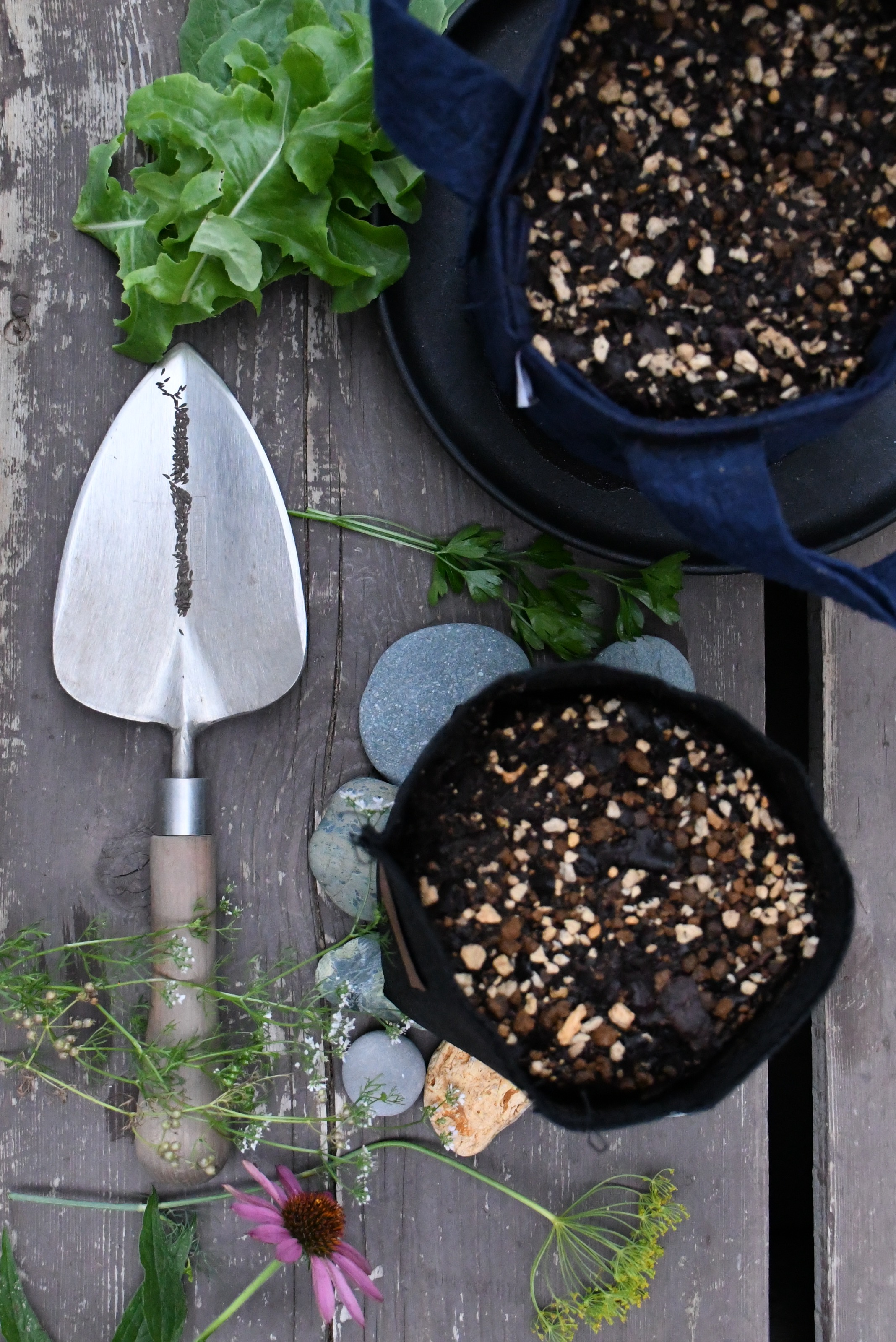 出展！ 赤いはちみつの丘フェスタ2025– 創房 BRASS LIFE-真鍮のある暮らし