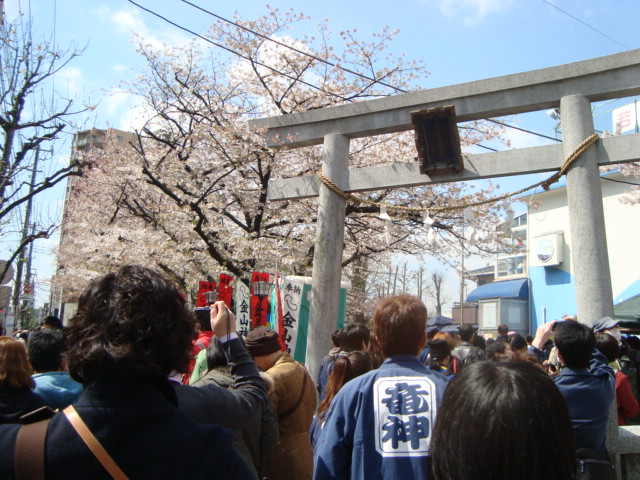 かなまら祭OMATSURI NAVI英語対応、日本のお祭り検索サイト「お祭りナビ」