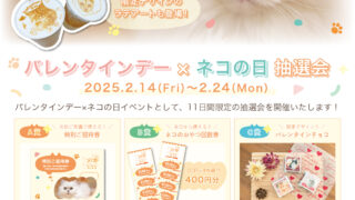 こんにちは！chocosilです。 本日から3日間、イーアスつくばにて出店しております！ つくばで創業している会社が集まった『TSUKUBA創業MARKET』ぜひ！お越しください😊 本日から3日間は『ショコラ・テリーヌHASHIYA』『ホワイトチョコチーズ・テリーヌKOU』の1本売りも