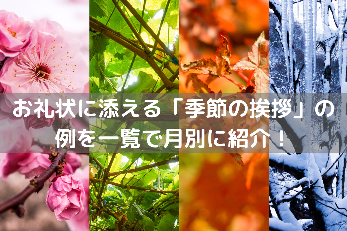 5月はがき礼状の例文書き出しは新緑の候・惜春の候・立夏の候疑問を解決