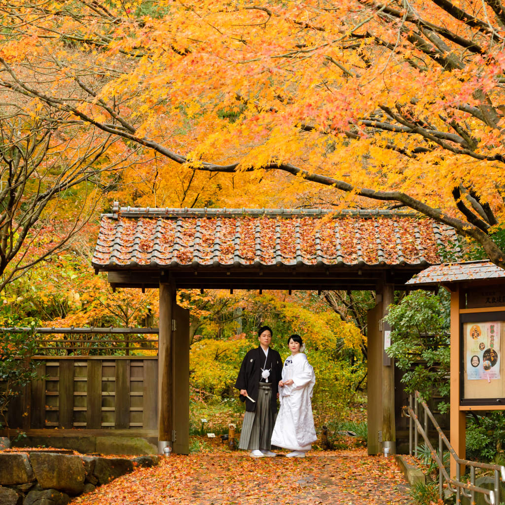横浜市港南区 久良岐能舞台のお正月イベント「新春灯篭まつり」で一年を華やかにスタートしませんか号外NET 横浜市港南区・栄区