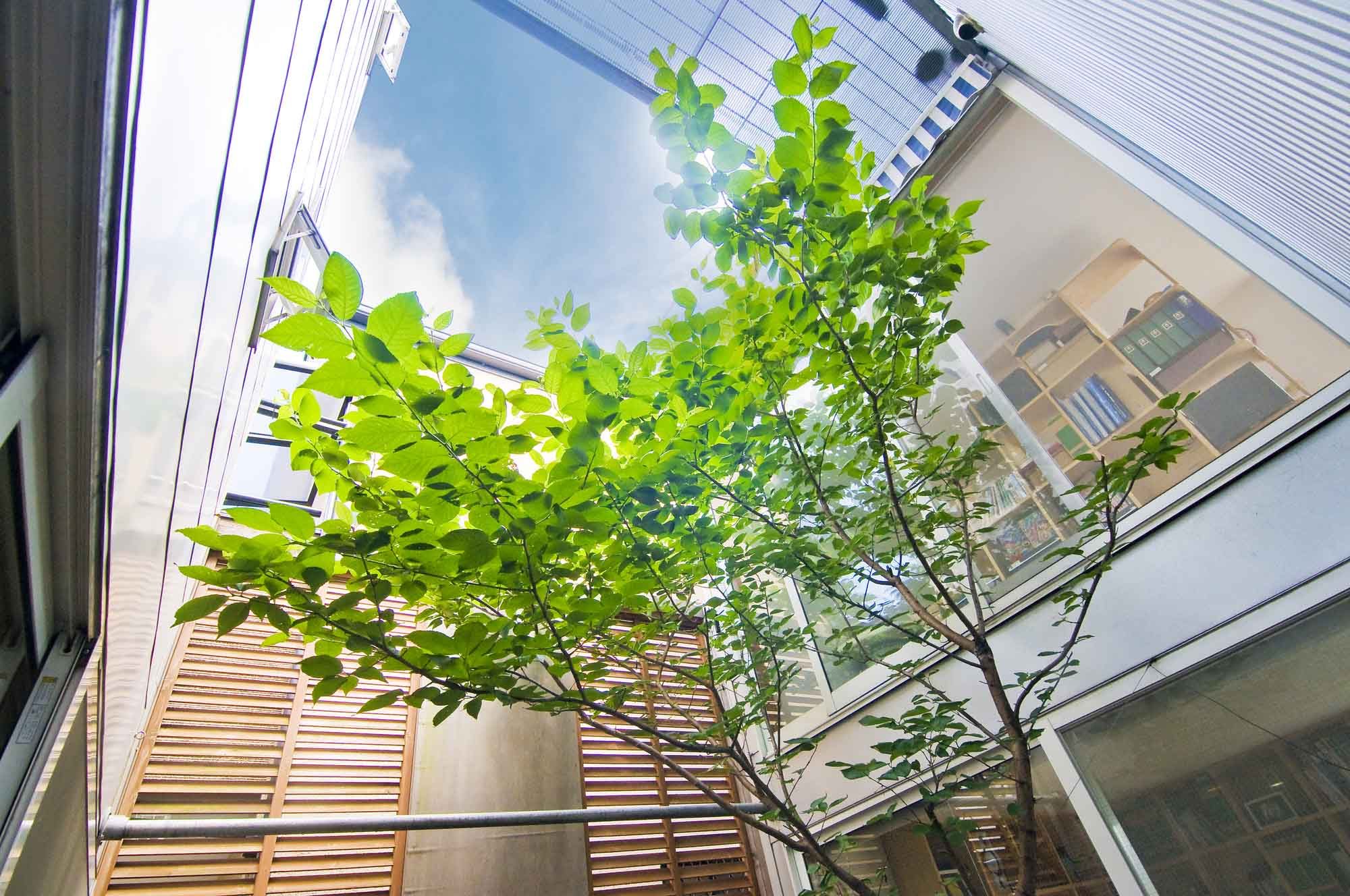 中庭のある家が不幸になるって本当？風水・家相を検証