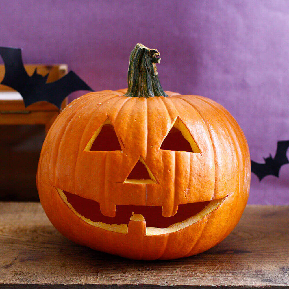 おばけカボチャをつくろう！ 10 5 日イベント蜻蛉池公園 とんぼ池公園