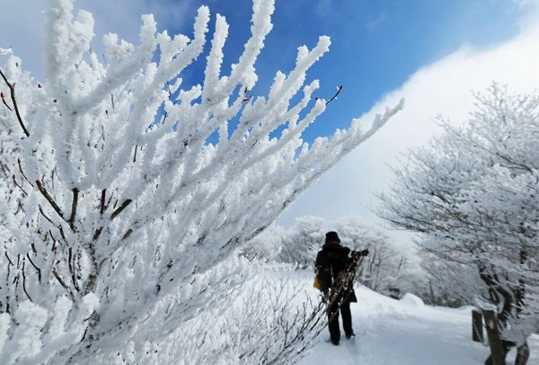 注染手ぬぐい 冬の風物詩 雪花舞う kenama日本製 手染め 手拭い てぬぐい 手ぬぐい 和柄 綿100% 雪だるま 雪の結晶 スノーマンクリスマス Xmas: TL-STARしのびや - 通販 - Yahoo!ショッピング