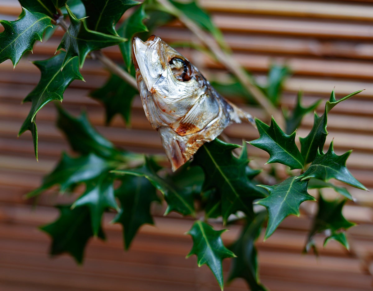 節分はいわしを食べる？飾る？理由からいわしレシピまでご紹介！レシピサイトNadia