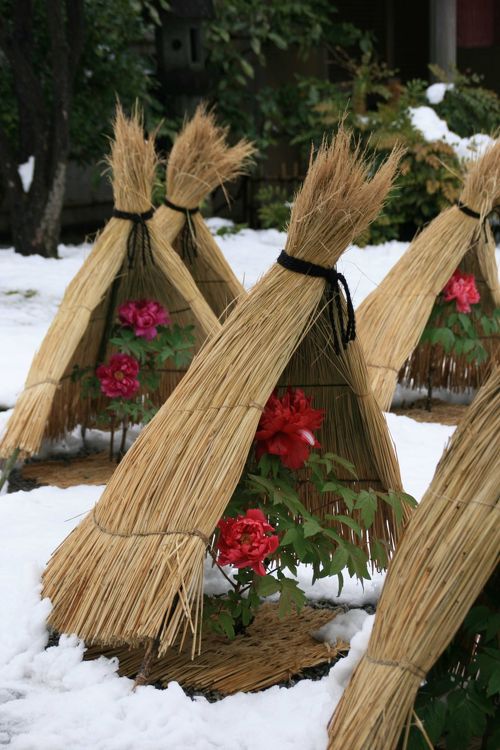 冬の風物詩東邦グループ