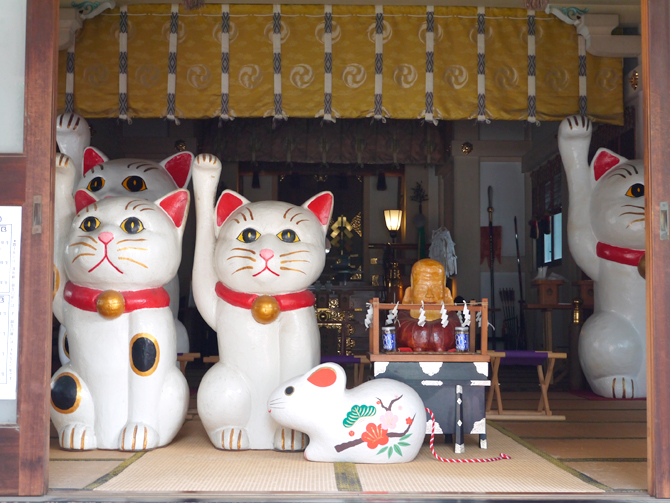 招き猫 30㌢ 伏見稲荷購入 千客万来 黒左手 大福運 一尺 神社 商売 神様