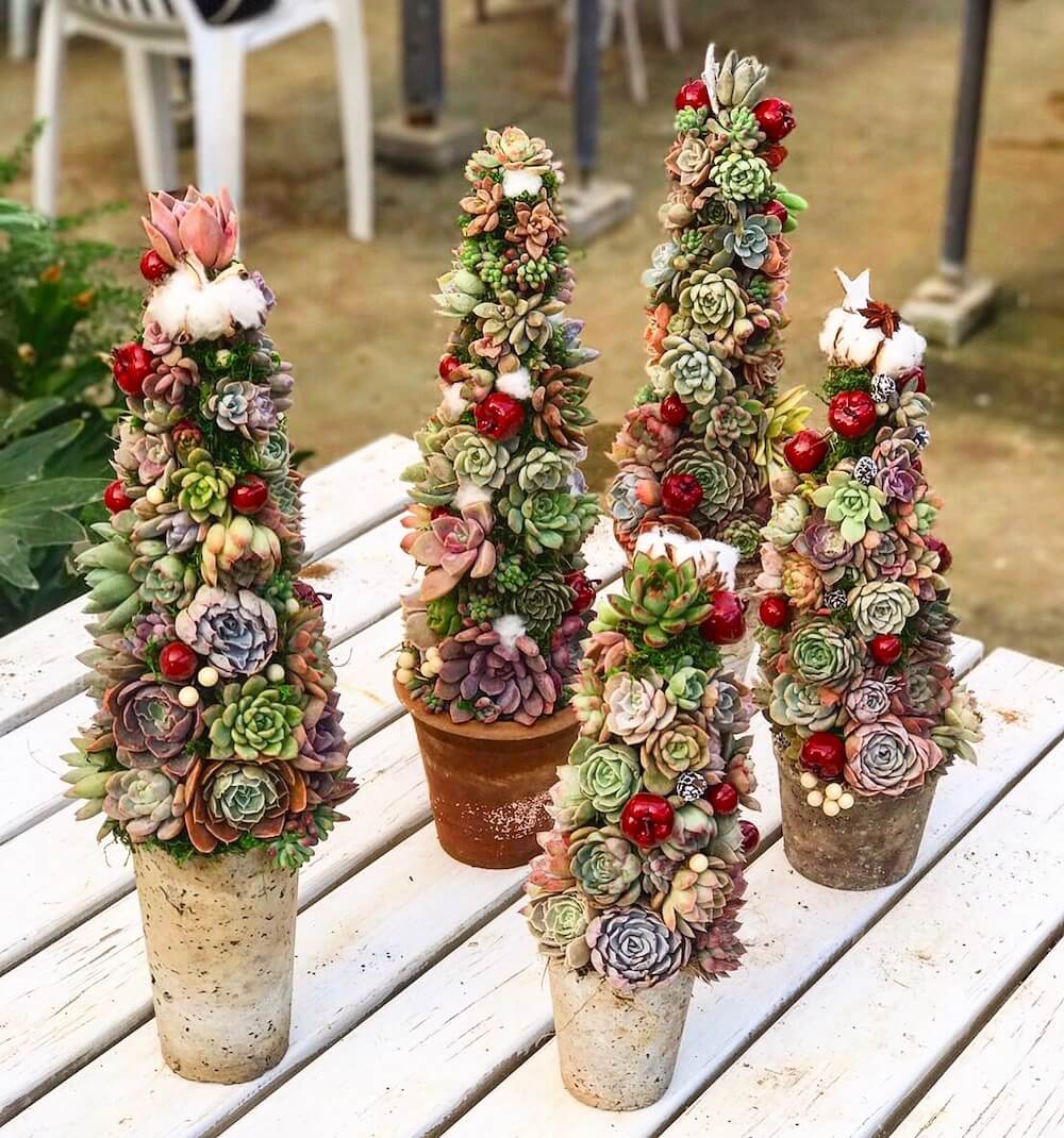 プロが解説 クリスマスにぴったり！１鉢で華やかさ続くブーケのような12月の寄せ植えGardenStoryガーデンストーリー