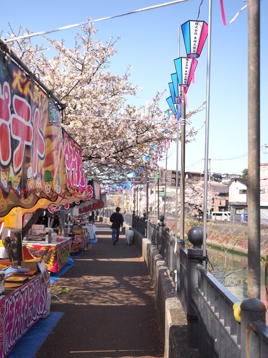 これからが見頃！大岡川に咲く桜を見ながら屋台で舌鼓関内新聞