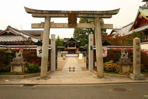 晴明神社のキキョウ - 京都園芸倶楽部の元ブログ管理人の書笈