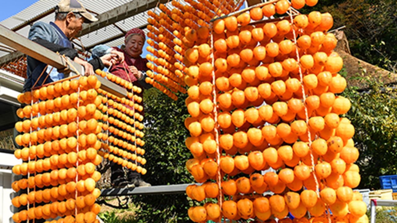 鏡餅」その意味や由来とは？おせちと並ぶお正月の定番！おせち料理ブログオージーフーズとっておきや