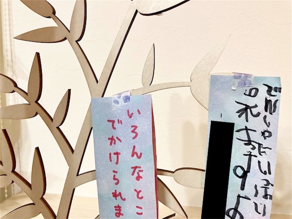 七夕の豆知識 七夕の「竹」と「笹」の違いって？ 七夕はどっちを飾る！？販促物・販促通販の POP GALLERY ポップギャラリ