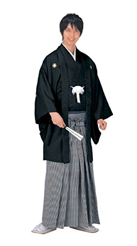 ガッツポーズをする紋付袴姿のシニア男性、お正月の初詣や結婚式でのイラスト素材234790240- イメージマート