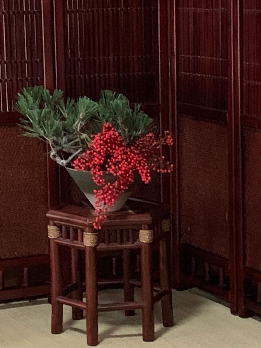 冬に映える赤い実スタッフブログはままつフラワーパーク 公式サイト