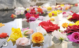 バラ風呂の宿 プチホテル晩餐館の宿泊予約なら るるぶトラベル 料金・宿泊プランも