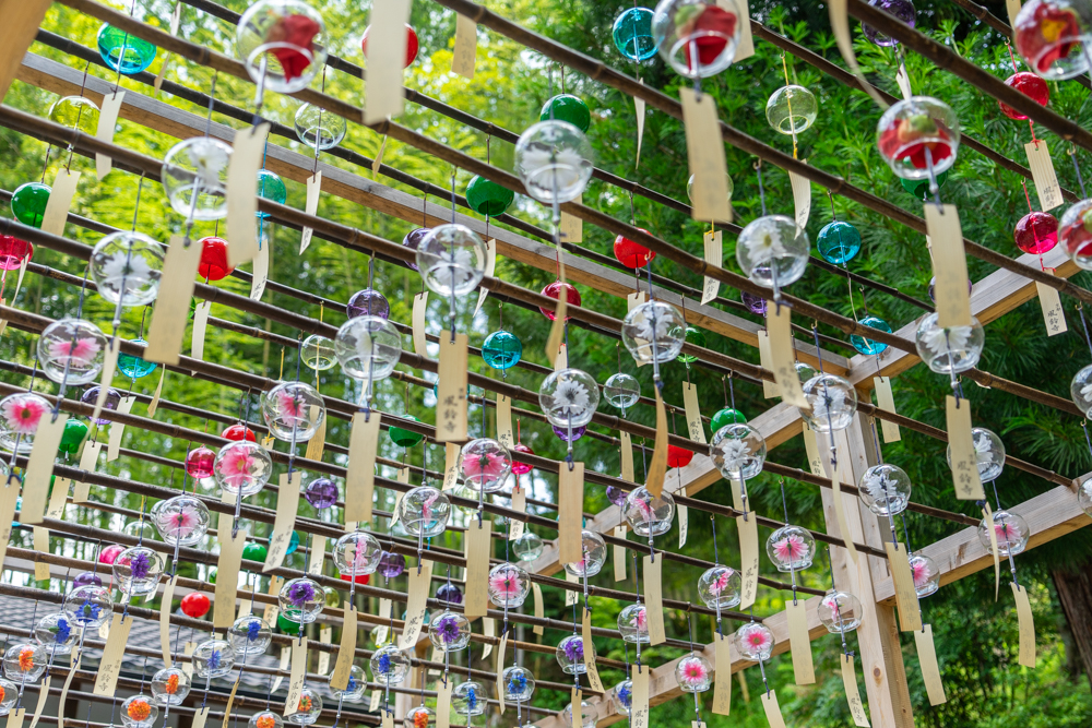 風鈴の涼やかな音色で暑気払い 袋井市の「遠州三山風鈴まつり」いこーよとりっぷ