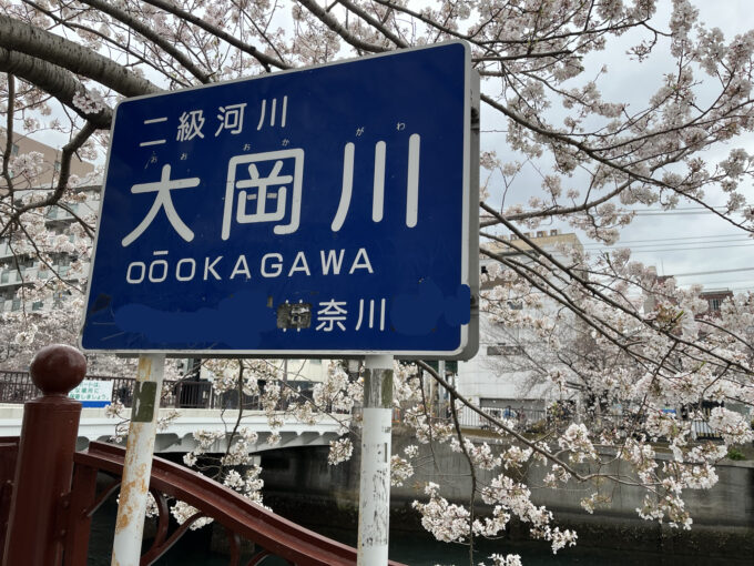 大岡川桜まつり2025屋台、駐車場＆混雑情報