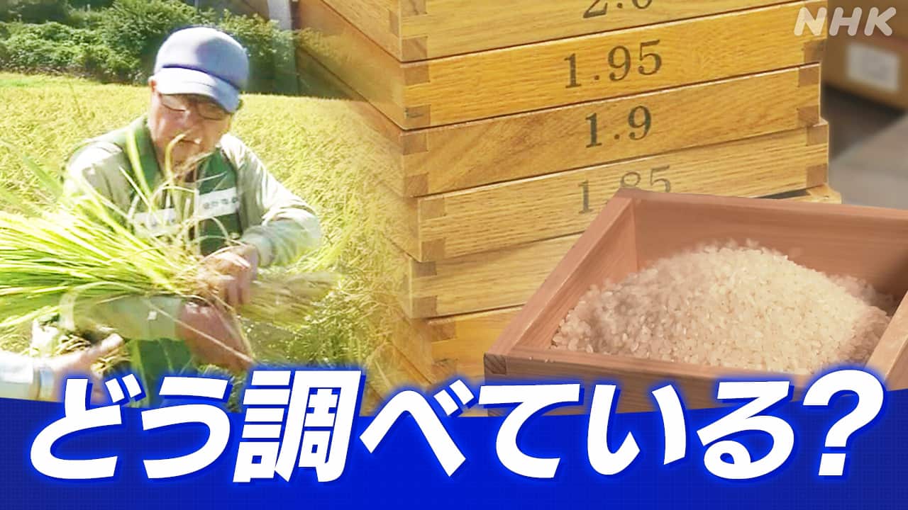 🎊西尾祇園祭10000人大作戦 🎊 この夏、西尾祇園祭をもっと盛り上げたい！**西尾祇園祭Instagramフォロワー1万人大作戦！**スタートします🎉西尾市内外の皆さんに向けて、もっとこの祭りの魅力を届けたい🌸 西尾祇園祭が大好きなみんなの力が必要です！ぜひフォローで