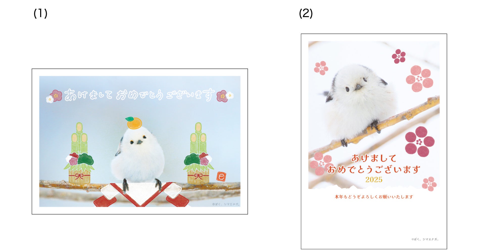 新商品 『絵入りはがき2024 冬柄』の販売開始しますフタバ株式会社のプレスリリース