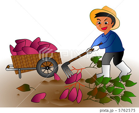 芋 イラスト 無料265 無料画像