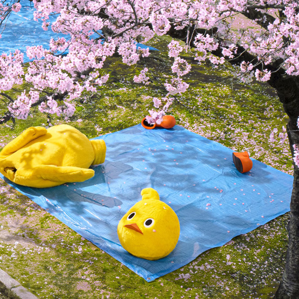 昨日に引き続き、お花見ネタです🌸 四万十市のお手軽お花見の穴場スポット！ 「一條鶴井公園」早咲きの桜がキレイです。https:ameblo.jp shimantoiju entry-12889649301.html