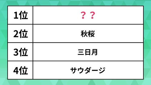 結婚式・ウェディングソングＣＤカラオケ～乾杯、マイウエイ、秋桜、ぼくの妹に、など ＣＤ