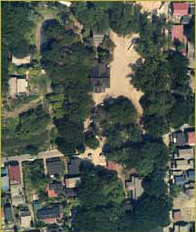 夏の神社特集2025・金峯神社 夏を彩る花手水と風鈴の音色に誘われて長岡市・きんぷじんじゃ