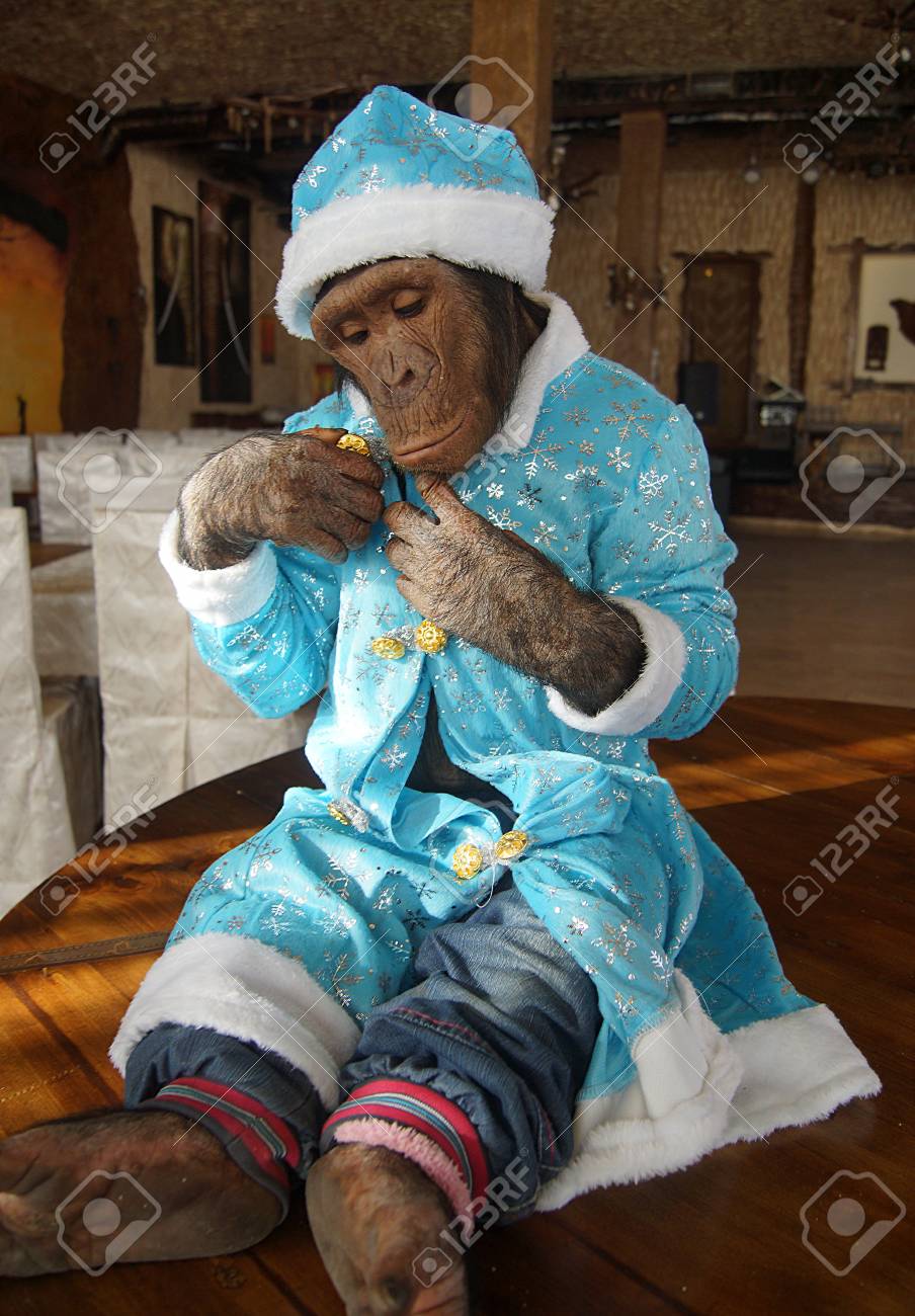 本物のサンタクロースに会える！？フィンランドのサンタクロース村へ行ってみよう！ - 北欧メディアSif シフ