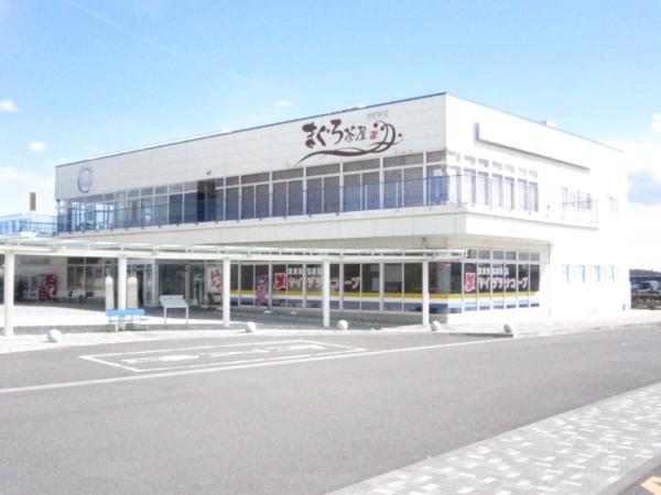 2025年最新 静岡・焼津エリアのおすすめ観光スポット13選！NEWT ニュート