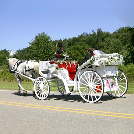 透明な背景に結婚式の馬車イラスト素材透過、PNGフリー画像ダウンロード - Pngtree