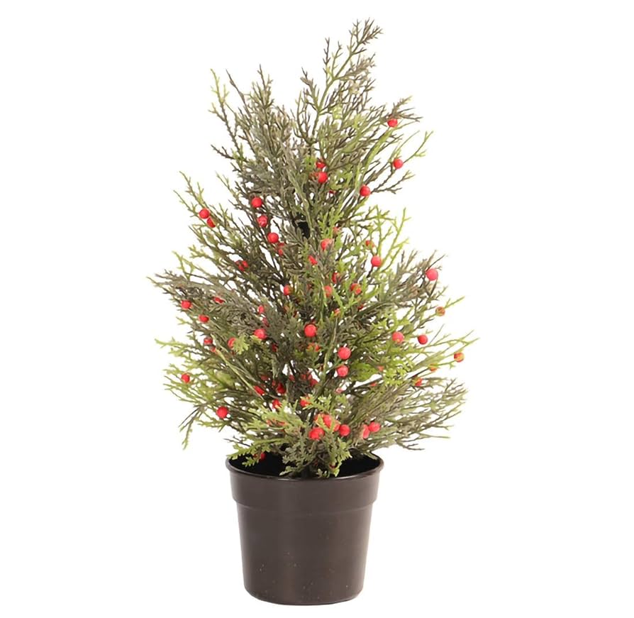 クリスマスにぴったりの花8選おすすめ植物の育て方や豆知識植物とあなたをつなぐPlantia