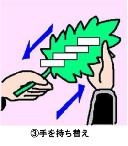 神前式 玉串奉奠 たまぐしほうてん の作法をイラストで丁寧に解説！結婚ラジオ結婚スタイルマガジン