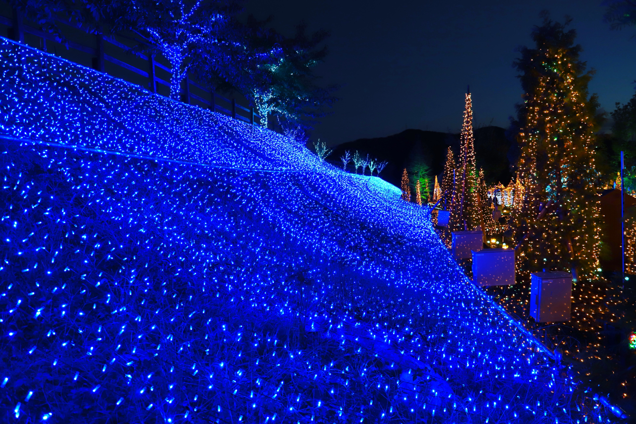 滋賀の復活イベント「HIKARIUM」イルミネーション情報