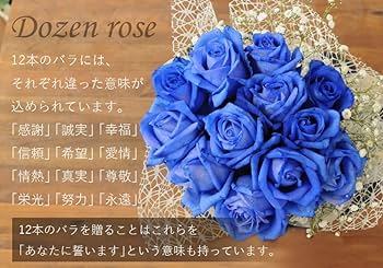 ブルースターの花言葉和名はルリトウワタ花言葉・誕生花HanaPrime ハナプライム