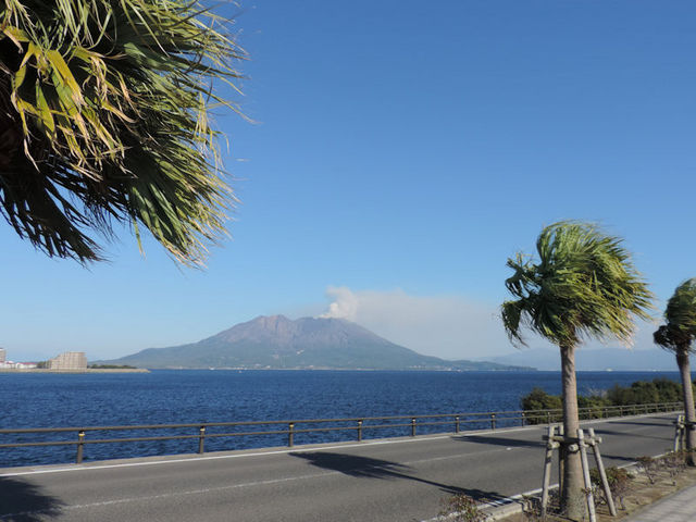 行ってきた 桜島と芸術花火2024がマリンポートかごしまで開催。ティラノレースやキッチンカーフェスも - かごうぇぶ