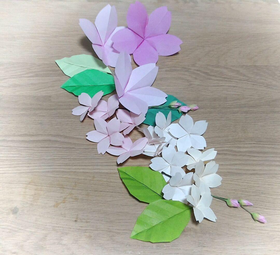 卒園式 壁面 桜 立体TikTok