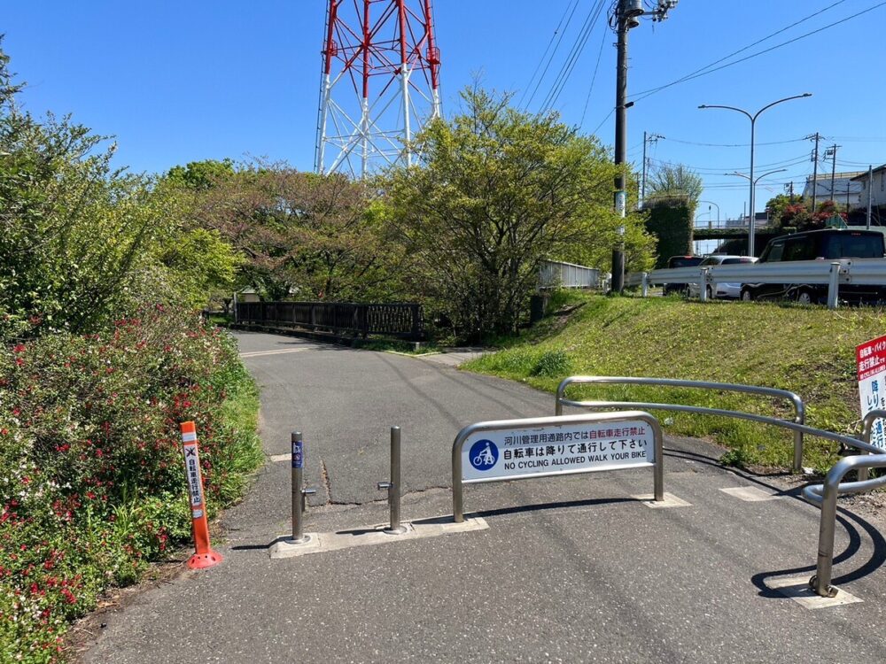 長津川調整池ふれあい広場の自然と癒しTikTok