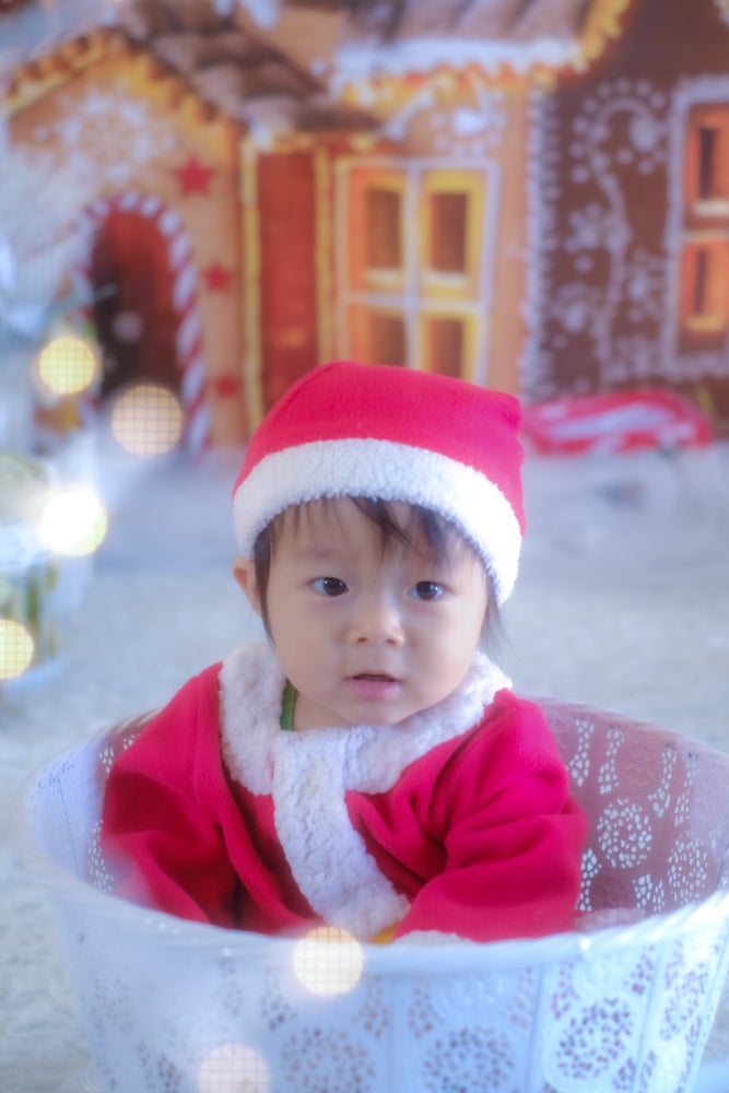 クリスマス2023」イベントレポート - 犬専門 きみとわんわん PHOTO STUDIO