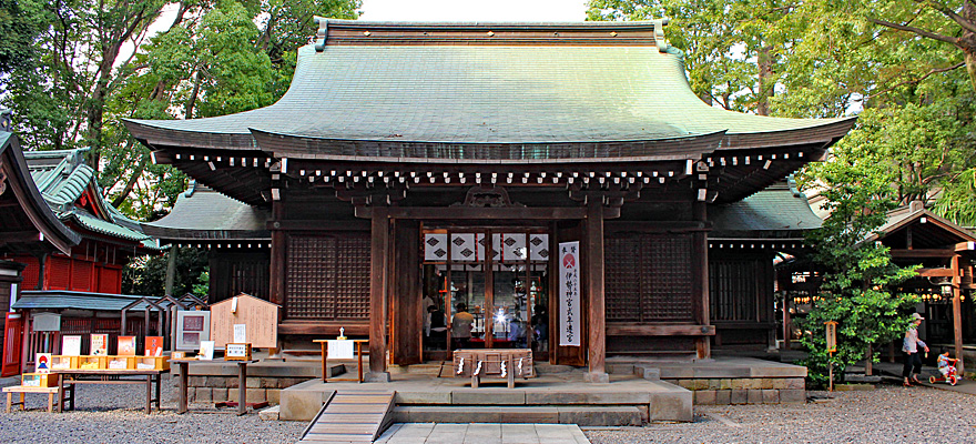娘に良縁 逢いたい 愛鯛 あい鯛祈願 川越氷川神社 ＆ 追加更新 の 花筏』川越 埼玉県 の旅行記・ブログ by はるさん フォートラベル